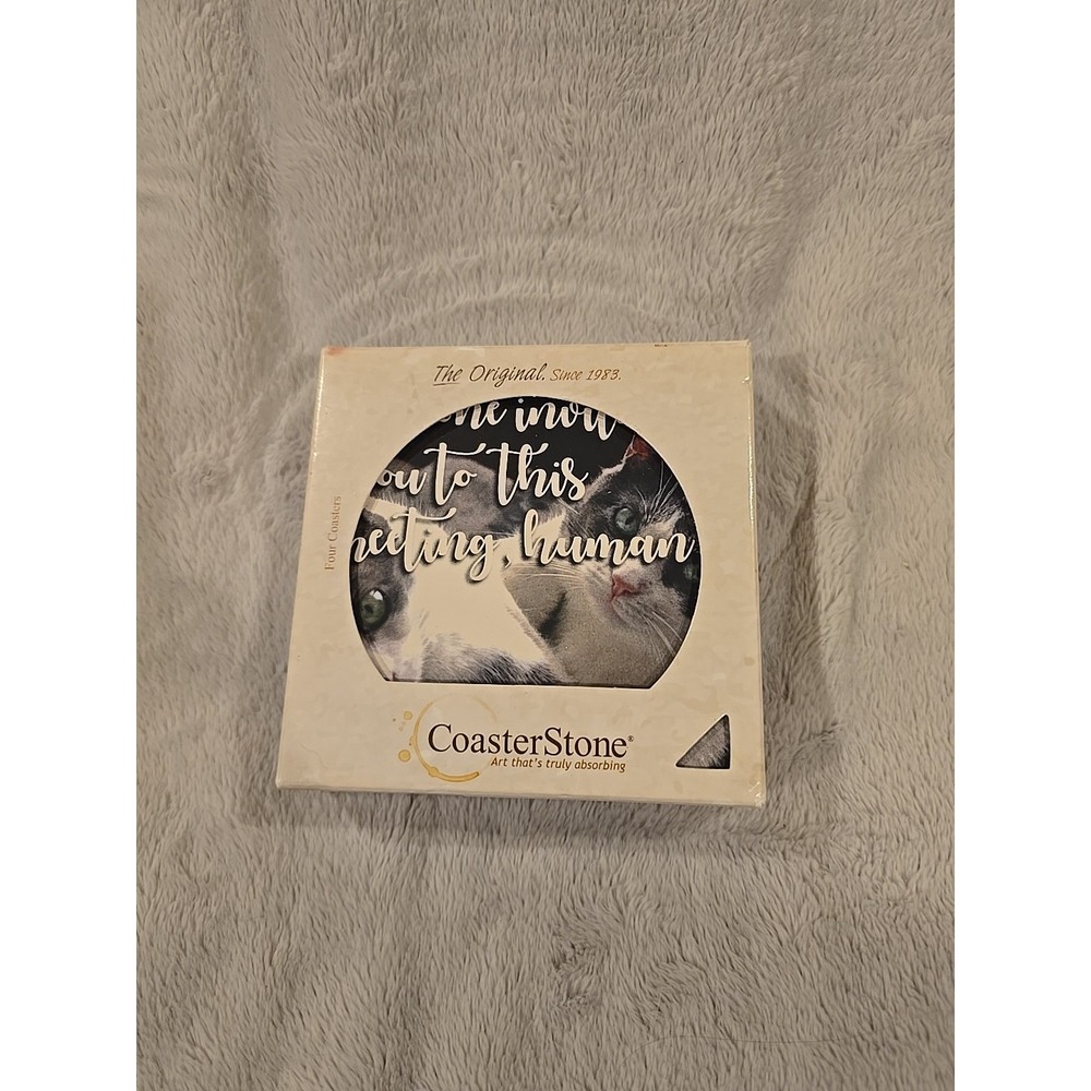 CoasterStone Funny Cat Absorbent Stone Coasters Set of 4 Cork Backed‎ Novelty